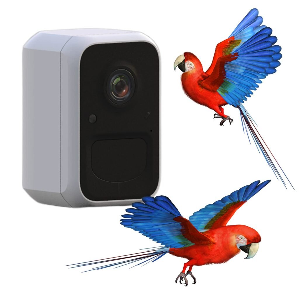 Cámara Inteligente para alimentador de pájaros, Captura automática y grabación de Videos de Aves y notificación de Movimiento Push, cámara WiFi...