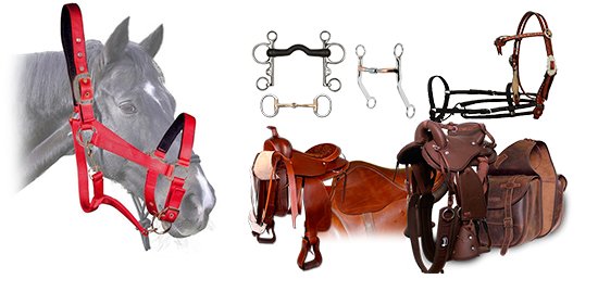 ACCESORIOS PARA EL CABALLO – Hablemos de caballos